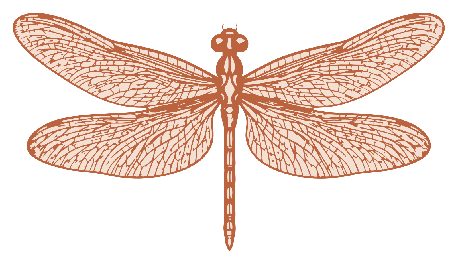Libelle · Terrakotta