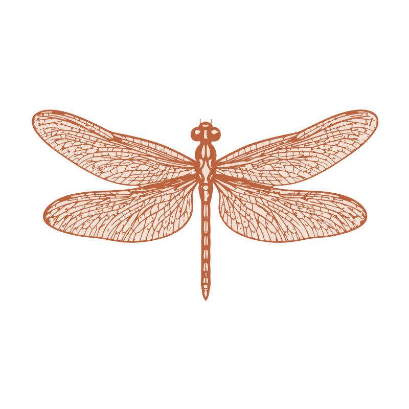 Icon · Terrakotta